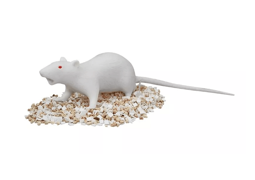 Natsume Ratte - Erler - Zimmer